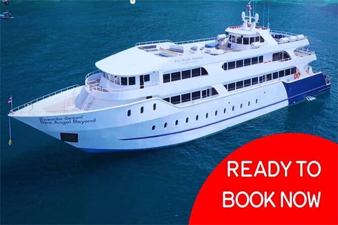 Phuket: Half Day Khai Islands by Speedboat - Koh Khai Nai: cats on the sand plus a short beach break