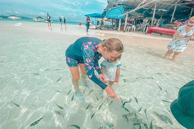 PHUKET Half Day Trip 3 Khai Island+Snorkeling by Speed Boat - Timing: morning vs afternoon runs and how to plan your day