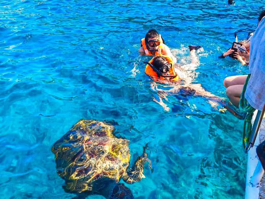 Phuket/Khao Lak: Similan Islands Speedboat Tour with Lunch - Should you book this Similan Islands speedboat tour?