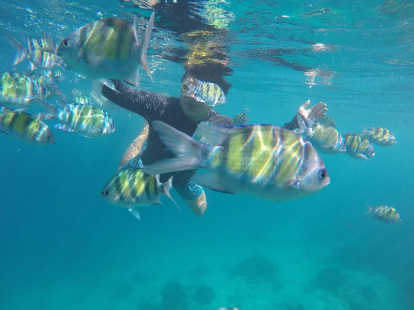 Phuket: Phi Phi & Khai Island Private Speedboat Charter Tour - Pileh Bay and Koh Khai marine life: Where the color comes from
