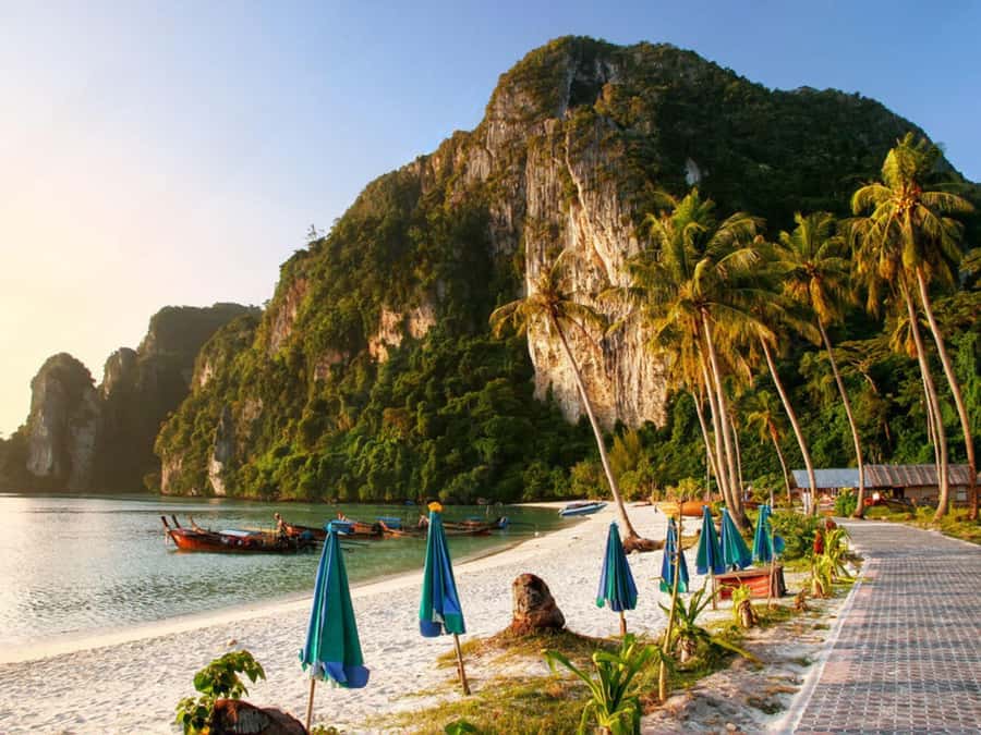 Phuket; Phi Phi, Maya Bay, Bamboo or Khai Island Speedboat - Monkey Beach photo stop: pretty scenery, real wildlife rules
