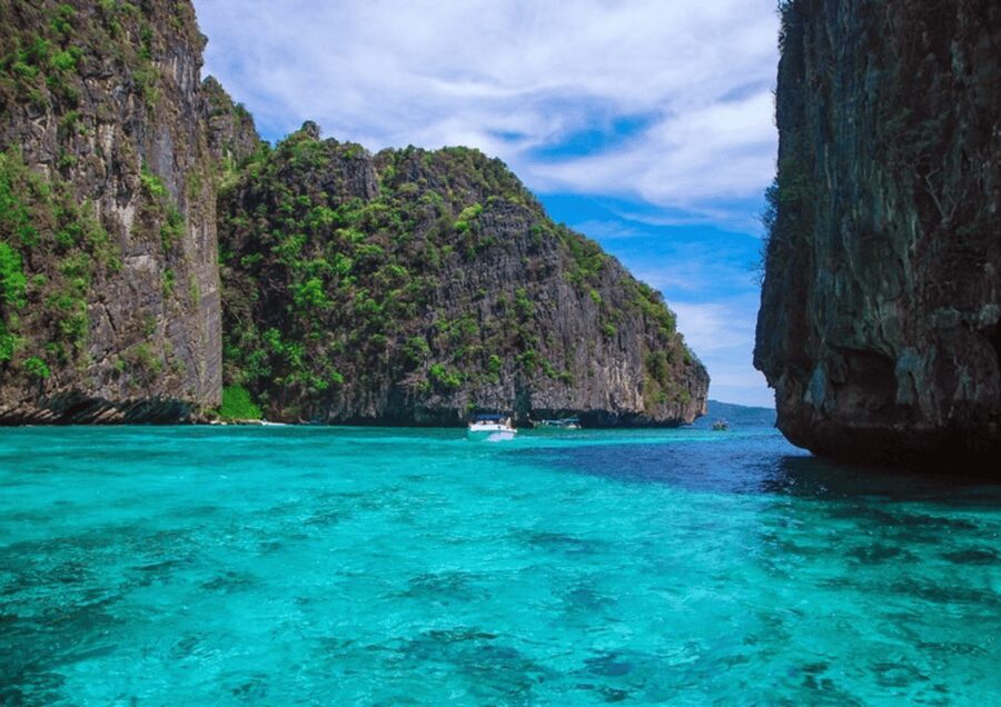 Phuket; Phi Phi, Maya Bay, Bamboo or Khai Island Speedboat - Pileh Lagoon snorkeling: the reef moment you came for