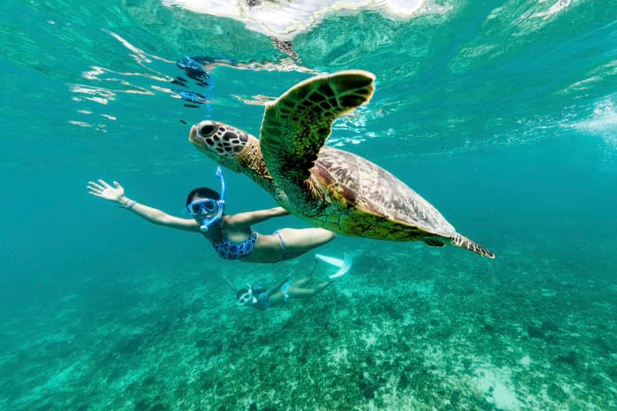 Phuket: Similan day full day trip by speedboat - Key things I’d plan around before you go