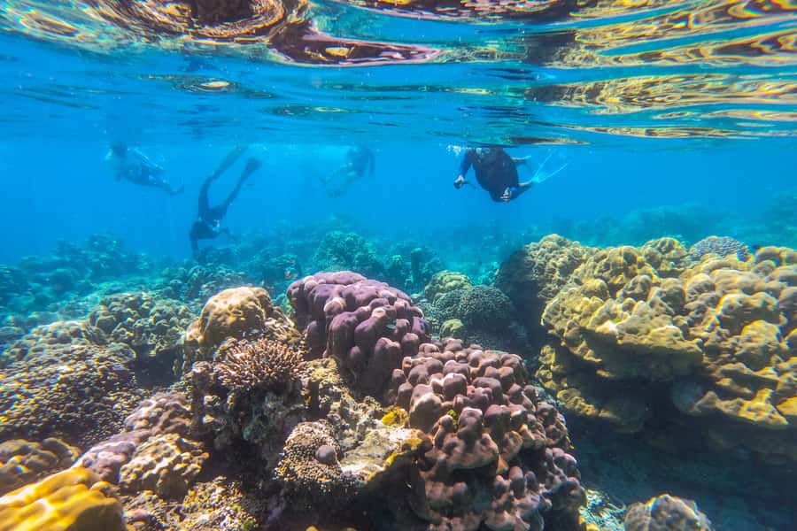 Phuket: Similan day full day trip by speedboat - The van + speedboat rhythm: where your day really goes