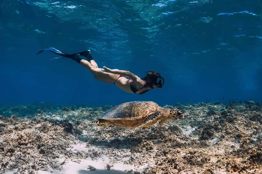 Phuket: Similan day full day trip by speedboat - Boat comfort, crowds, and sea conditions: what to expect in the real world