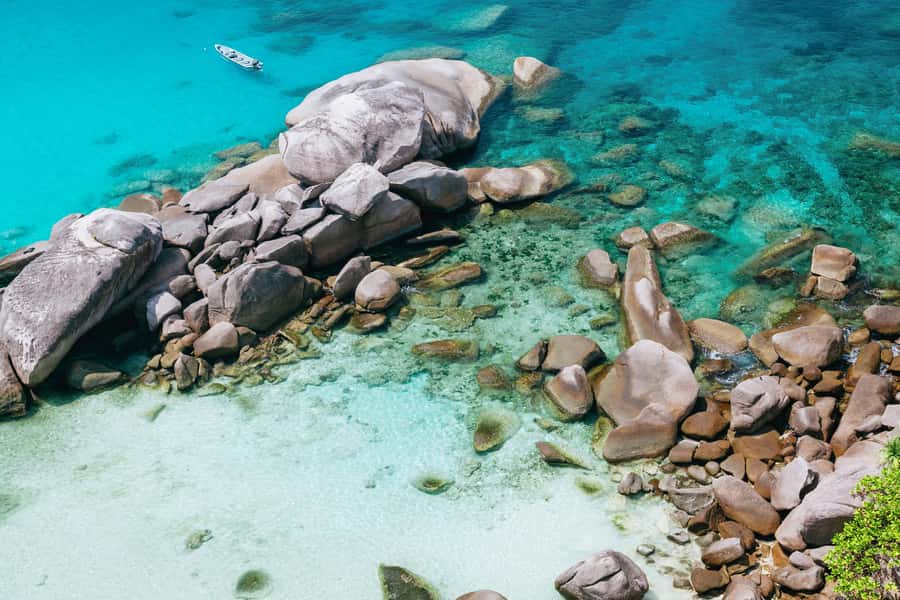Phuket: Similan Islands Day Tour by Speedboat with Lunch - Christmas Point or Namchai Bay on Koh Ba Ngu