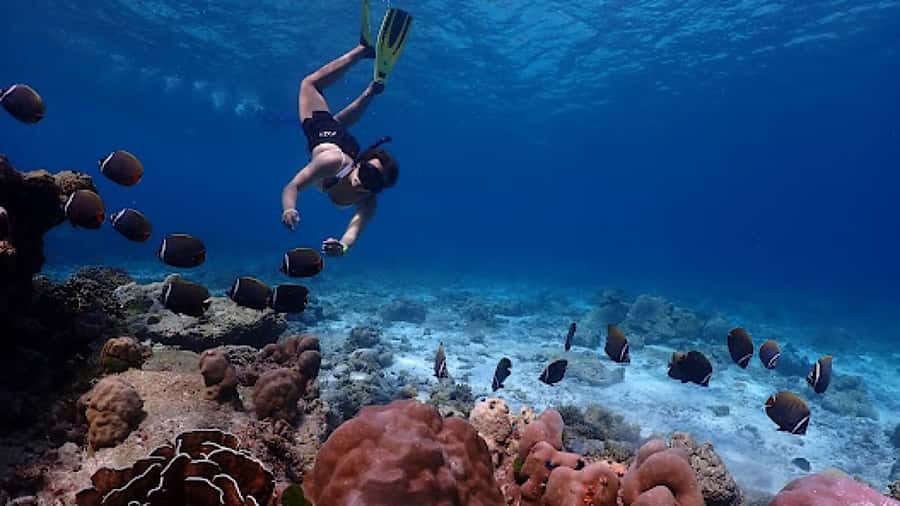 Phuket: Similan Islands Day Tour by Speedboat with Lunch - The Group Tour Reality: Crowds, Timing, and Guide Variations