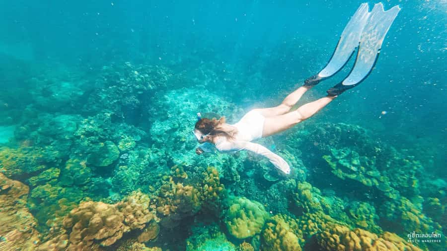 Phuket: Speedboat Day Trip to Phi Phi and Maya Bay - Key Things to Know Before You Go