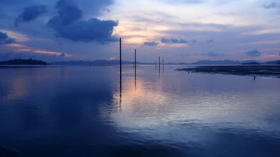 Phuket to Phi Phi Full-Day Luxury Speed Boat Charter - Ko Rang Yai: the quiet finish where the day slows down