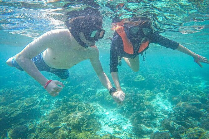 Phuket to Phi Phi Islands by Speedboat - Snorkeling Reality Check: Beautiful Water, Variable Conditions
