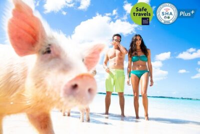 Pig Feeding, Kayaking, Snorkeling Trip at Pig Island By Speedboat From Koh Samui - Koh Tan Snorkeling Hour: Gear Included, So You Can Just Go