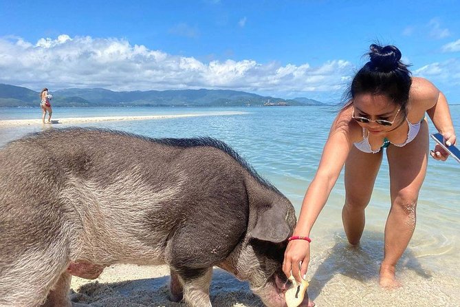 Pig Feeding, Kayaking, Snorkeling Trip at Pig Island By Speedboat From Koh Samui - Food and Drinks: More Than a Token Meal