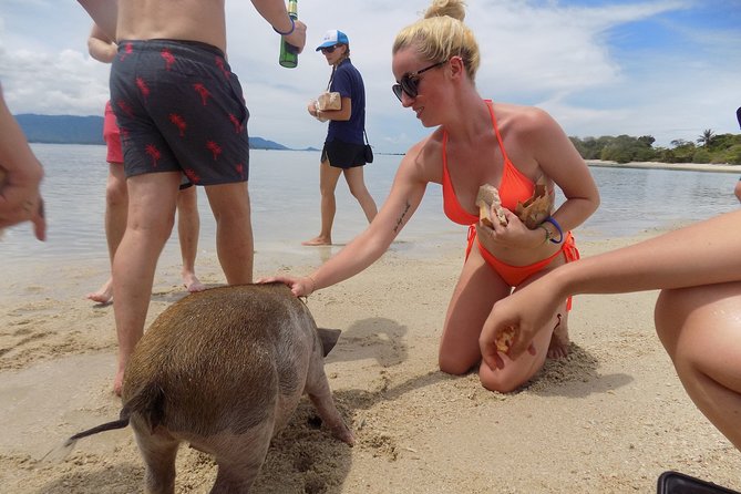 Pig Feeding, Kayaking, Snorkeling Trip at Pig Island By Speedboat From Koh Samui - Value Check: Is $57.92 a Good Deal?