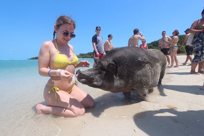 Pig Feeding, Kayaking, Snorkeling Trip at Pig Island By Speedboat From Koh Samui - When the Day Feels Slow: Timing, Waiting, and Dock Reality