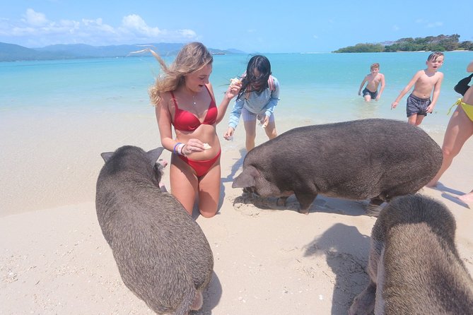 Pig Feeding, Kayaking, Snorkeling Trip at Pig Island By Speedboat From Koh Samui - Safety and Weather Reality on a Speedboat Day