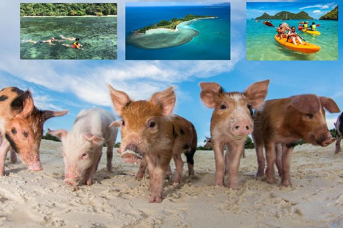 Pig Island Experience By Speed Boat, Snorkeling, Kayaking Relaxing on the Beach - Key things I’d circle before you go