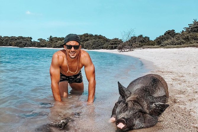 Pig Island Experience By Speed Boat, Snorkeling, Kayaking Relaxing on the Beach - Getting to the boat: transfers, timing, and how the day starts