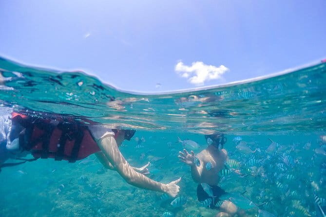 Pig Island & Koh Tan Tour by Speed Boat (Snorkeling & Kayaking) - Who should book this Pig Island & Koh Tan tour