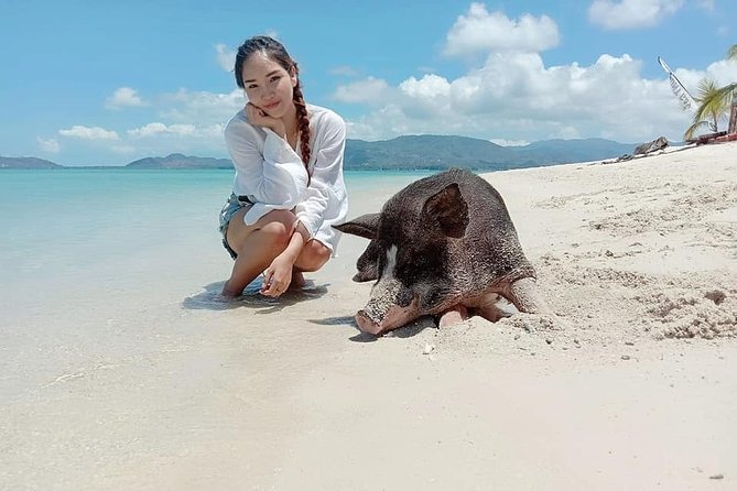 Pig Island Snorkeling & Sightseeing Tour By Speedboat From Koh Samui - Pig Island on Koh Madsum: The Reason You Came