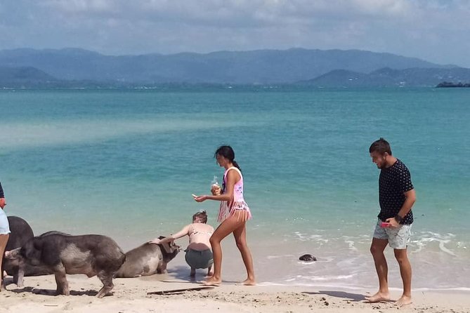 Pig Island Snorkeling & Sightseeing Tour By Speedboat From Koh Samui - What’s Included: Food, Water, Masks, and the Value of Not Packing