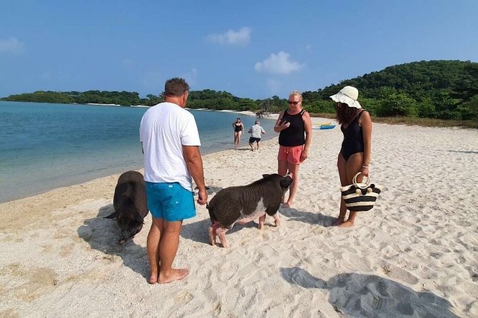Pig Island Snorkeling & Sightseeing Tour By Speedboat From Koh Samui - Price and Extras: Does $47.62 Actually Add Up?