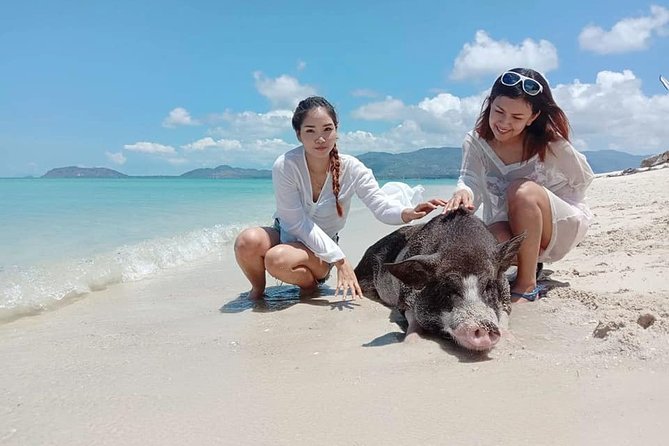 Pig Island Snorkeling & Sightseeing Tour By Speedboat From Koh Samui - Group Size and Comfort: When Crowds Are the Trade-Off