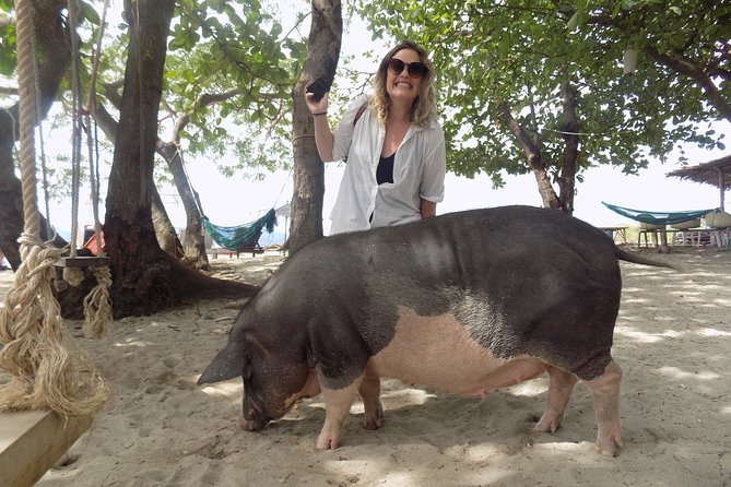 Pig Island Snorkeling & Sightseeing Tour By Speedboat From Koh Samui - Who Should Book This Tour (and Who Might Prefer Another Option)