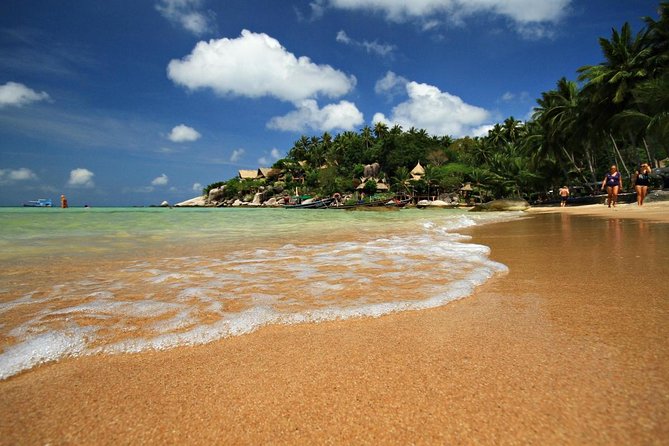 Pig Island Tour by Speedboat with Snorkeling - Key things to know before you go