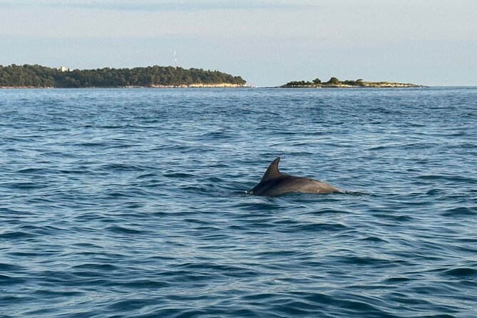 Porec Sunset Shared Cruise on Speedboat with Dolphin Sightseeing - Who This Cruise Suits Best (and Who Should Think Twice)