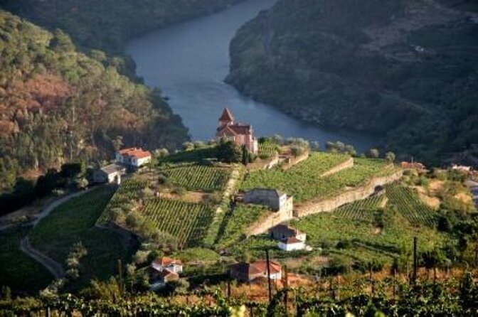 Porto 6 bridges Speedboat Tour along the Douro - Key things to know before you go