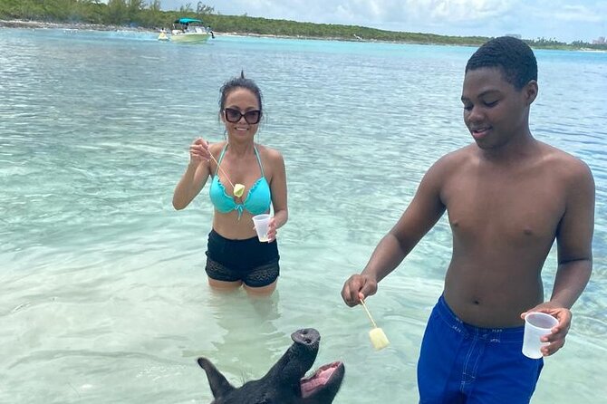 Powerboat and Snorkel Experience with Swimming Pigs and Turtles - Swimming Pigs Stop: Fun, Interaction, and Respectful Feeding