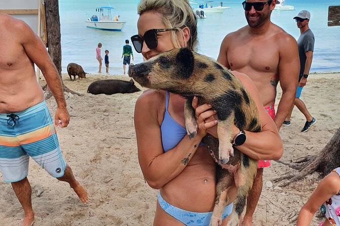 Powerboat and Snorkel Experience with Swimming Pigs and Turtles - Green Cay Turtle Sanctuary: Slow Wildlife Watching in a Protected Spot