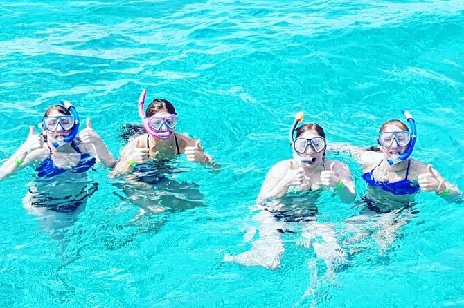 Powerboat and Snorkel Experience with Swimming Pigs and Turtles - Who Should Book Secret Cays (And Who Might Skip)