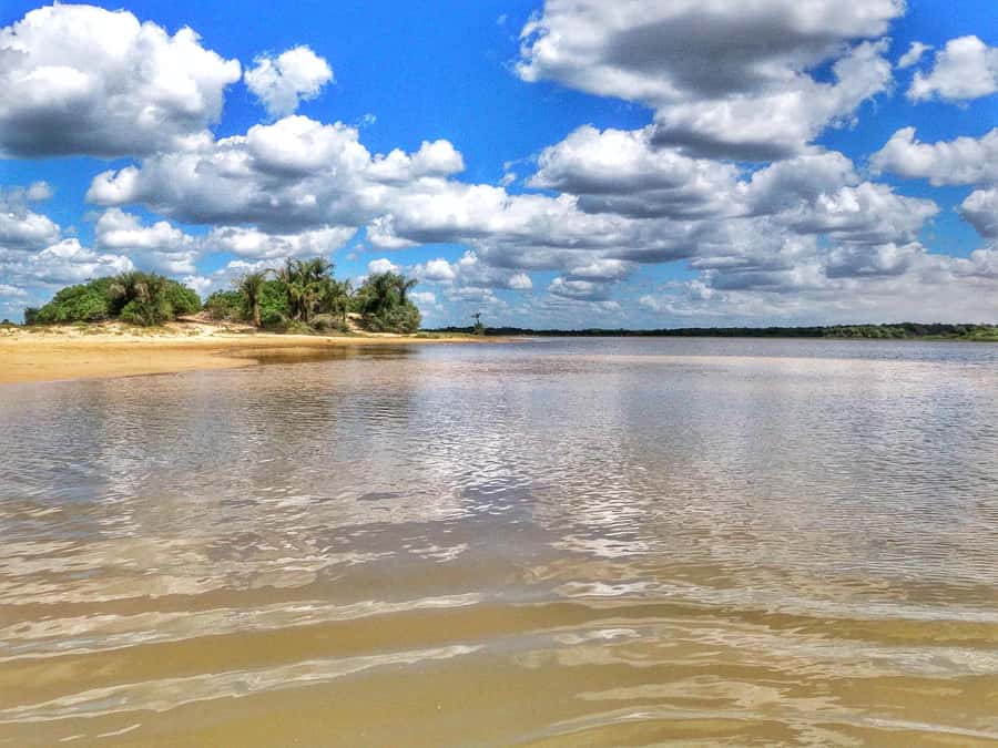 Preguicas River Speedboat Tour - Key highlights at a glance
