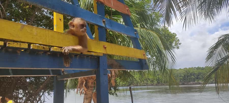 Preguicas River Speedboat Tour - Getting to the port: the 4×4 start from Barreirinhas