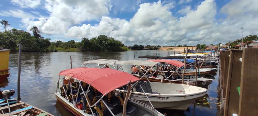 Preguicas River Speedboat Tour - How long it really takes: managing pace, stops, and delays