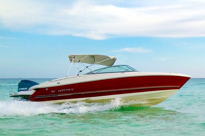 PRIVATE! | 4-hour Speed Boat Trip | Swim With Dolphins, Snorkeling & Island - Price, Transfers, and Value at Full Capacity