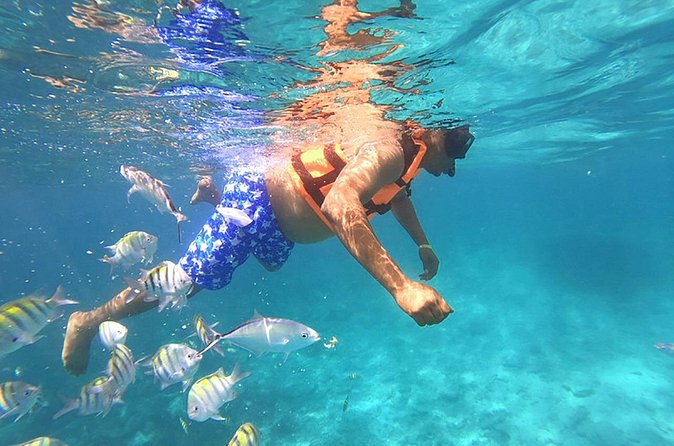 Private Activity Speedboat Ride and Snorkeling in Punta Cana - Snorkeling time with provided gear: how to get value out of the stop