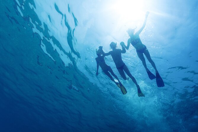 Private Blue Lagoon and Trogir Half-day Speedboat Tour from Split - Trogir + Blue Lagoon from Split: why this combo works