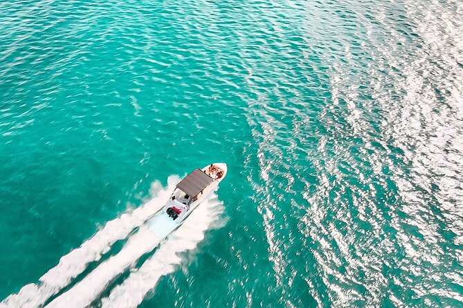 Private Full-Day Speed Boat Tour of St. Martin with Luxury Lunch - Friar’s Bay cow spotting: fun if you’re flexible
