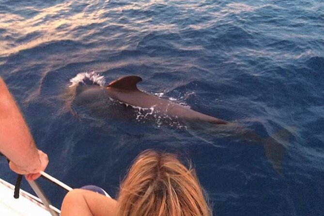 Private Glamorous Speedboat in Tenerife with Snacks & Drinks - The Crew and Captain Touch: Hospitality That Makes It Feel Special