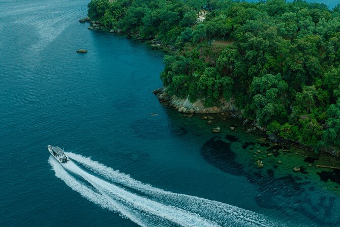 Private Half Day Cruise on a Speed Boat in Mallorca - Should You Book This Private Speed-Boat Cruise?