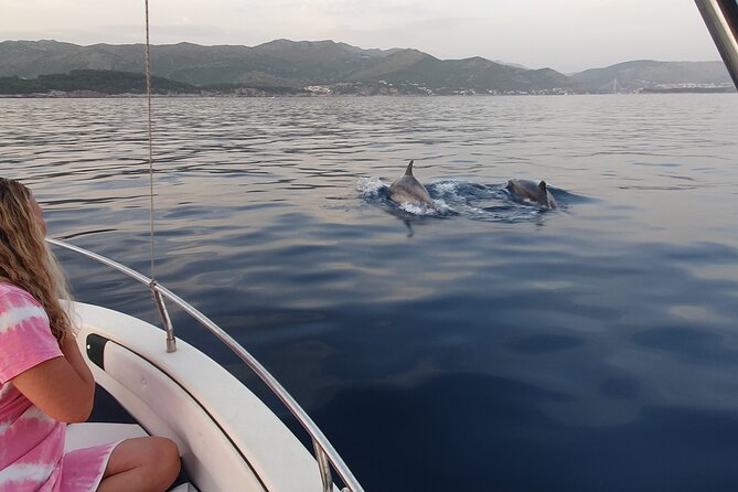 Private Local Guided Speedboat Tour in Dubrovnik Archipelago - Stop 1: Blue Cave on Koločep Island in 40 minutes