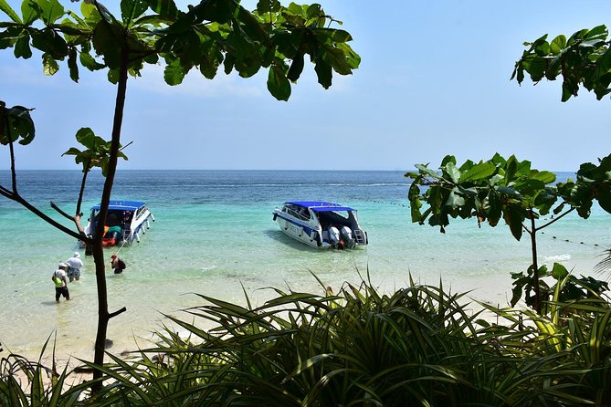 Private Phi Phi Island Speed Boat Tour from Krabi - Loh Samah Bay and the Maya Bay Trail: A Shortcut to the Views