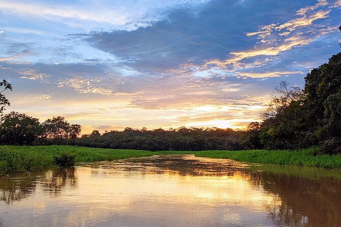 Private River Tour by Speedboat in the Amazon, Lily Pads & Nature - Meeting of Waters: the split you can actually see