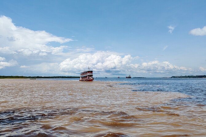 Private River Tour by Speedboat in the Amazon, Lily Pads & Nature - Parque Ecologico Janauari: giant lily pads and raised jungle bridges