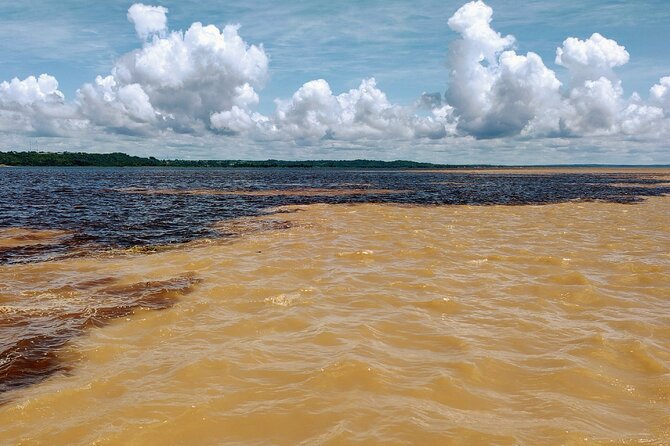 Private River Tour by Speedboat in the Amazon, Lily Pads & Nature - Price and value: what $220 per person really buys