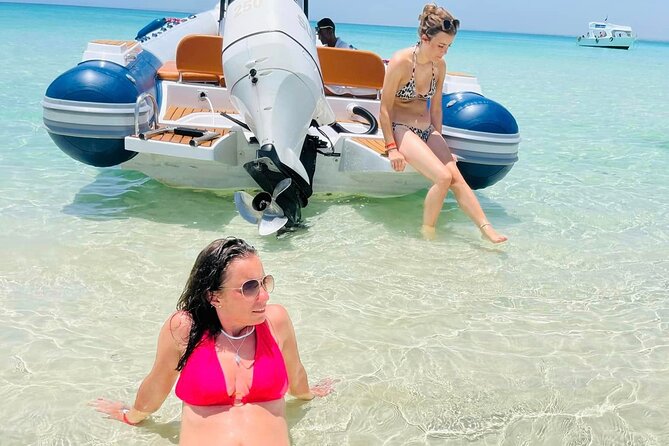 Private Speed Boat 4 Hours to White Island and Dolphin House - Why this private 4-hour speedboat hits the sweet spot