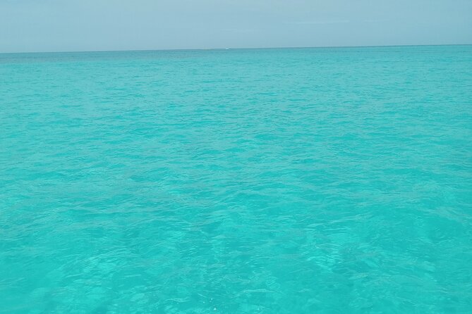 Private speed boat beach and bar hopping visiting Rose island - Key highlights at a glance