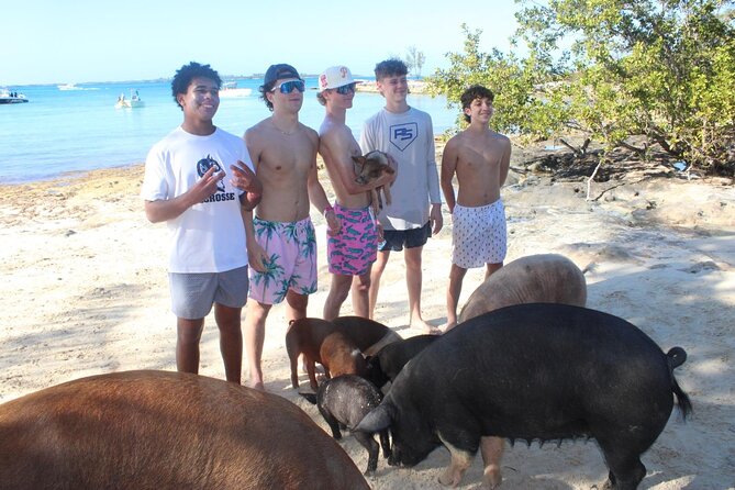 Private speed boat beach and bar hopping visiting Rose island - Floating bar vibes: how the social part fits the beach day